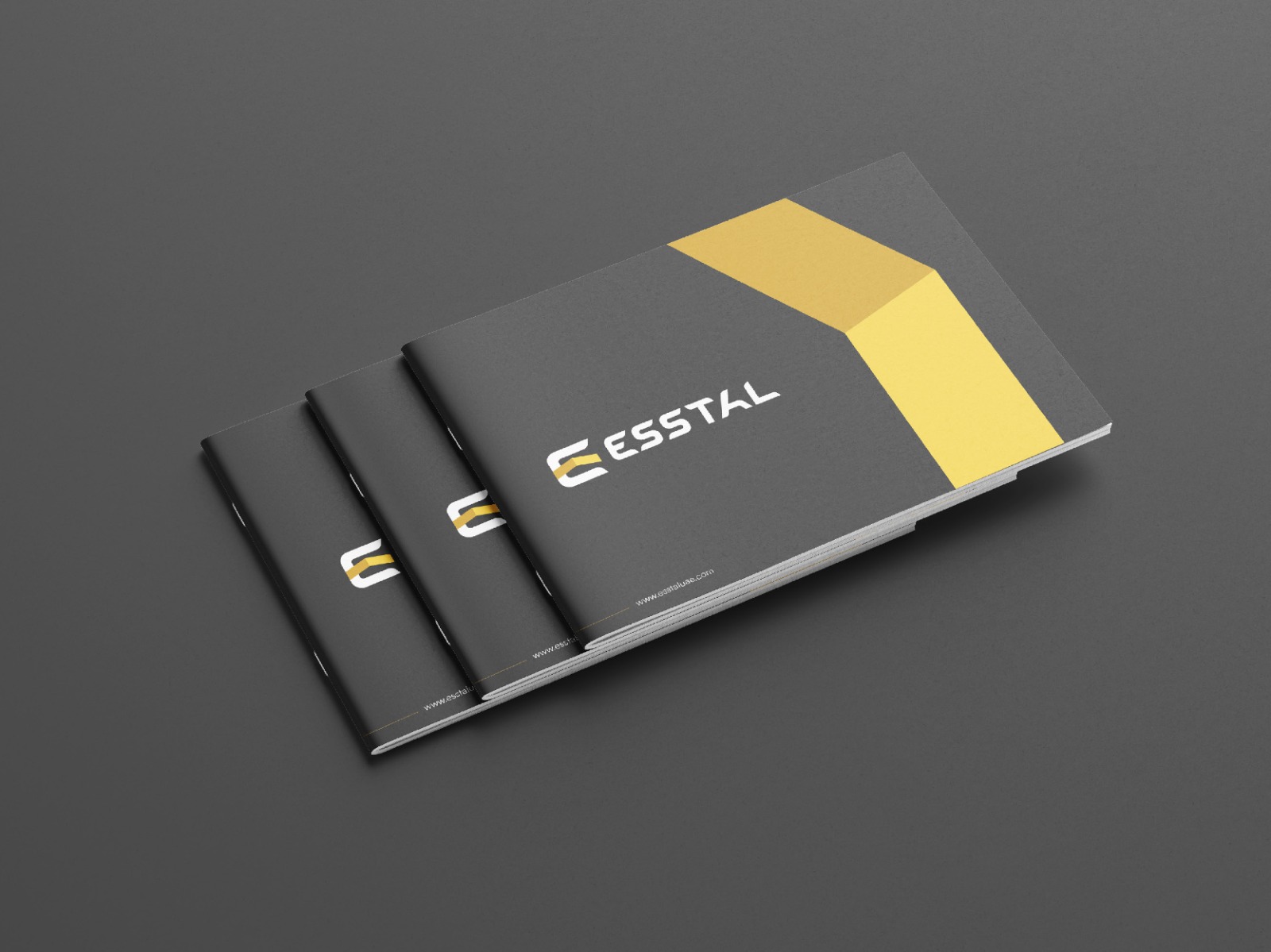 WhatsApp Image 2026-04-17 at 2.50.16 PM